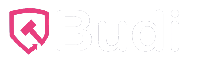 Budi logo